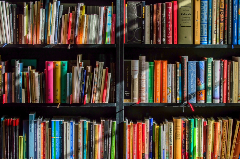 vitrine-GRIMAUD-min_books_bookstore_book_reading_shop_writer_sale_books_read-822866