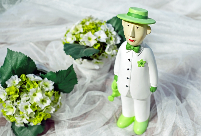 vitrine-GRIMAUD-min_man-person-flower-green-toy-fig-546529-pxhere.com